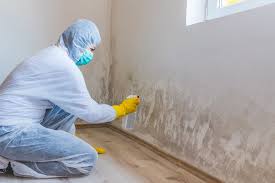 Environmental Consulting for Mold Prevention in Newton, AL