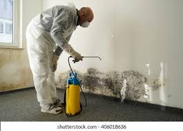 Professional Mold Removal Services in Newton, AL